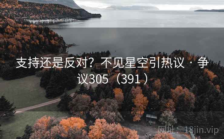 支持还是反对？不见星空引热议 · 争议305（391 ）  第2张