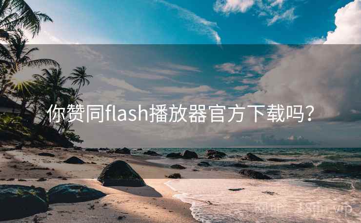 你赞同flash播放器官方下载吗？