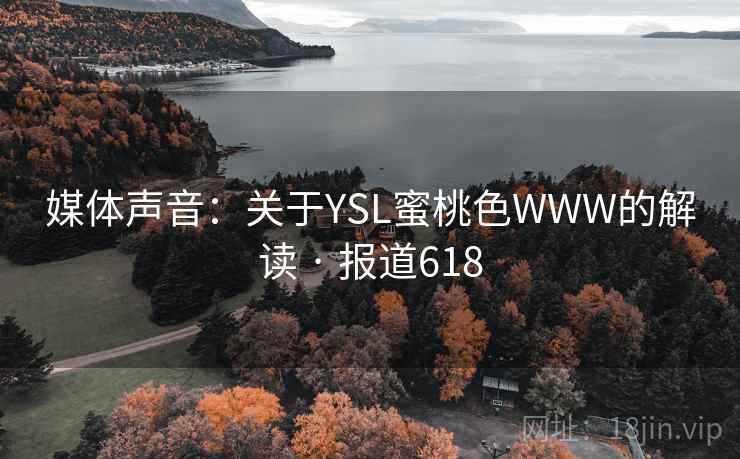 媒体声音：关于YSL蜜桃色WWW的解读 · 报道618